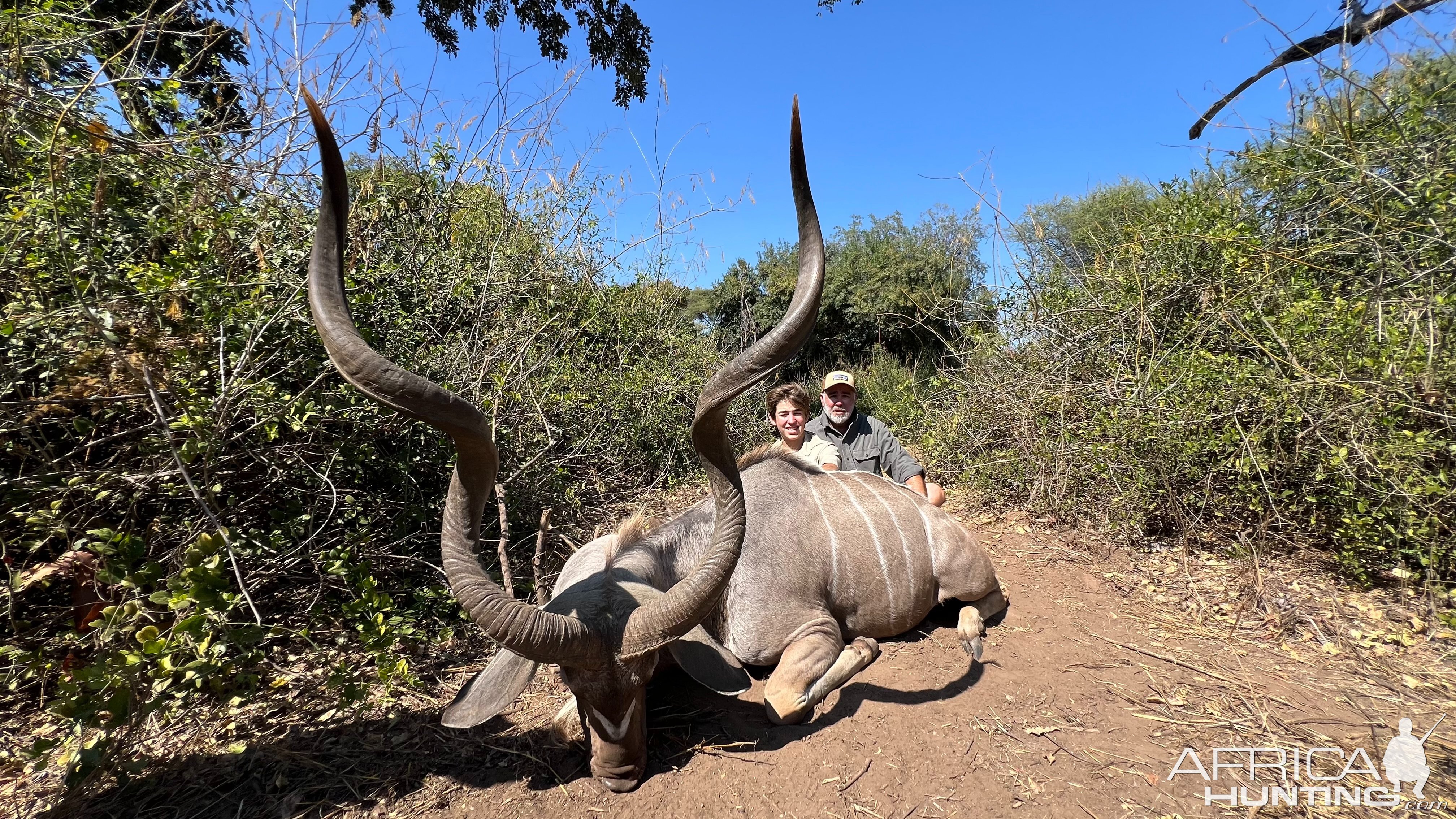 Kudu Hunt Zimbabwe