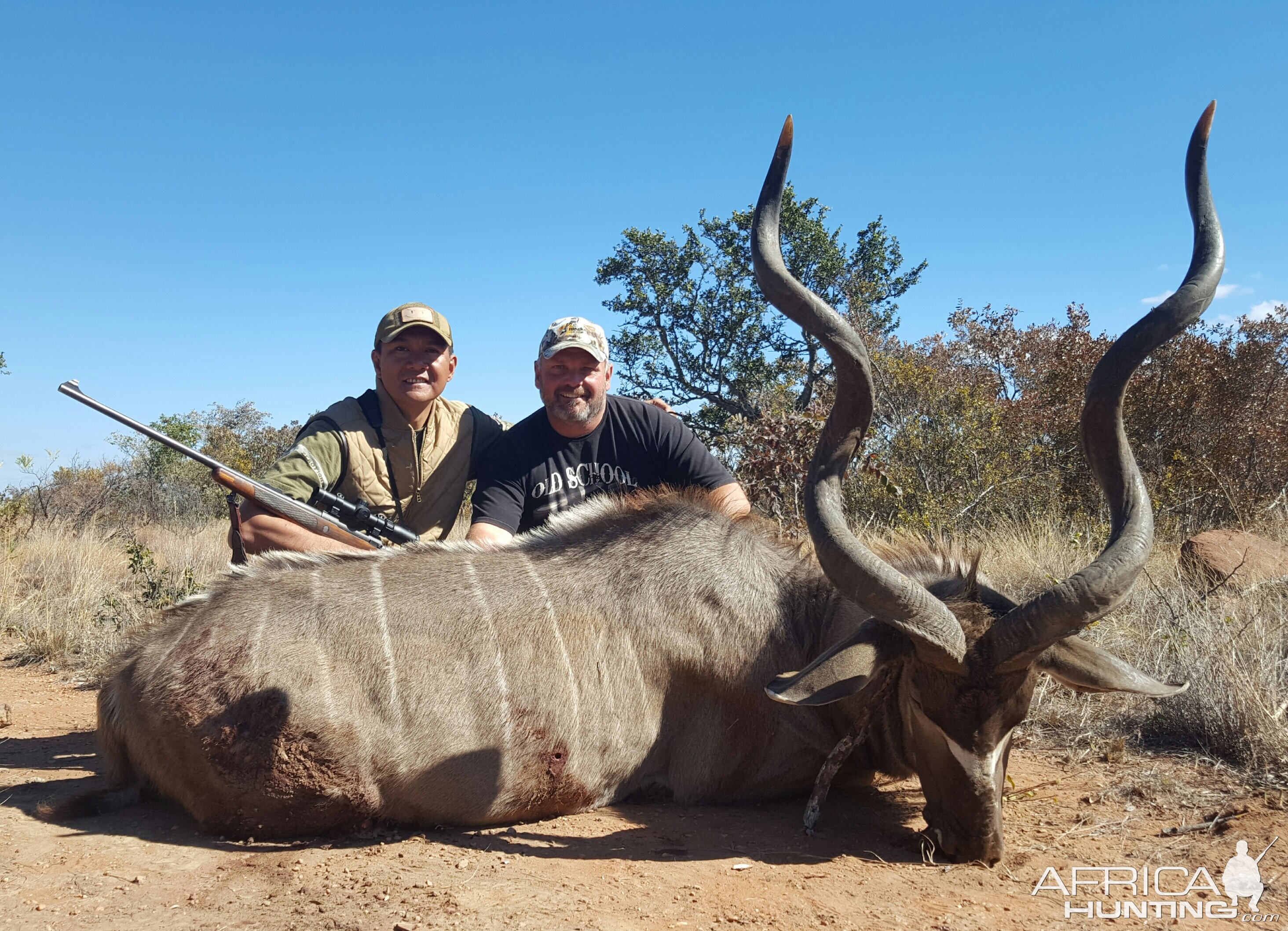 Kudu Hunt