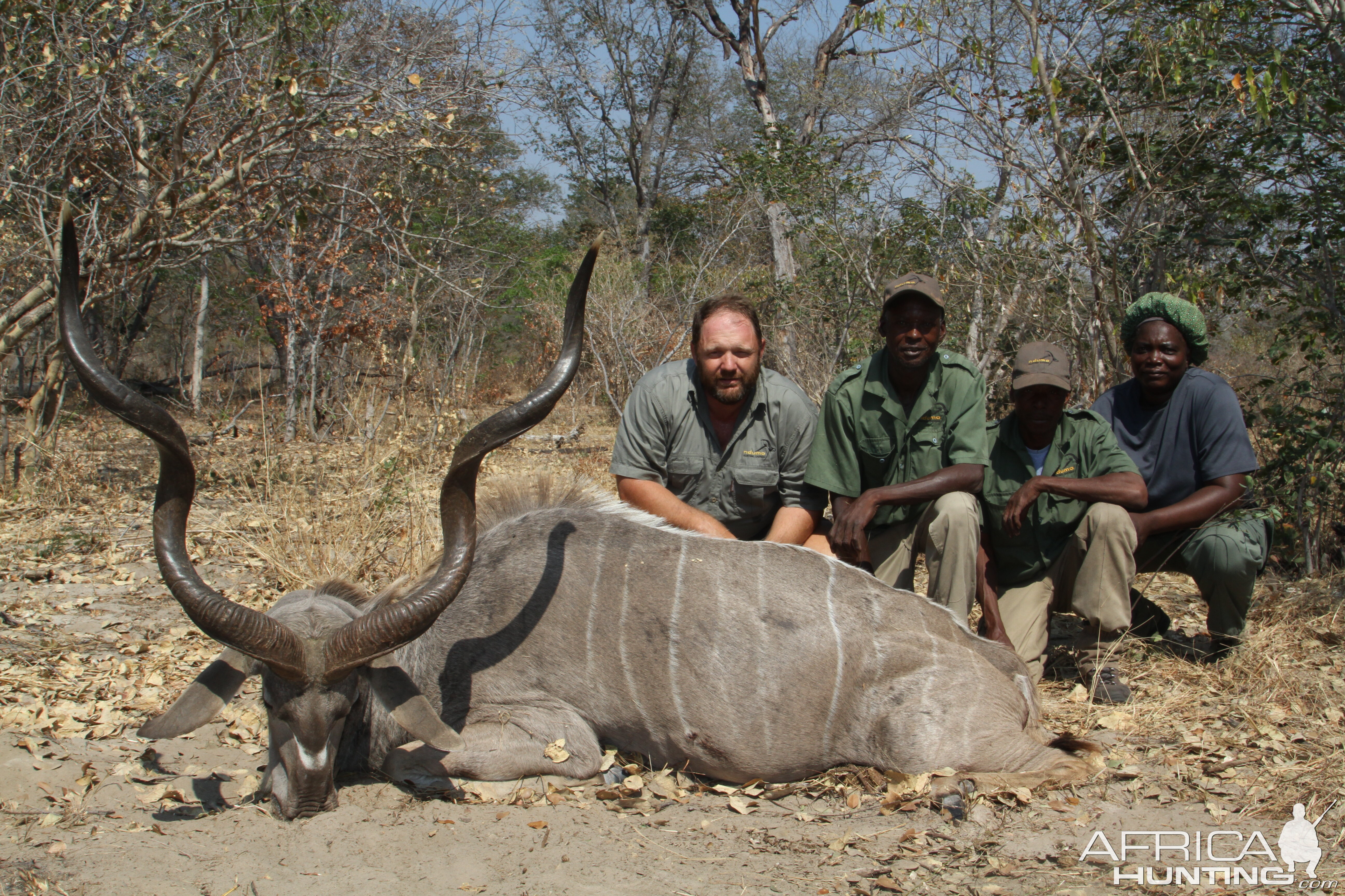 Kudu Hunt