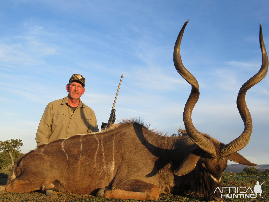 Kudu Hunting Eastern Cape South Africa