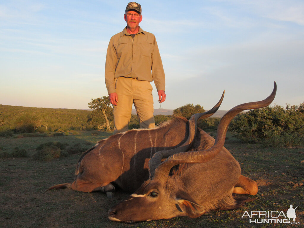 Kudu Hunting Eastern Cape South Africa