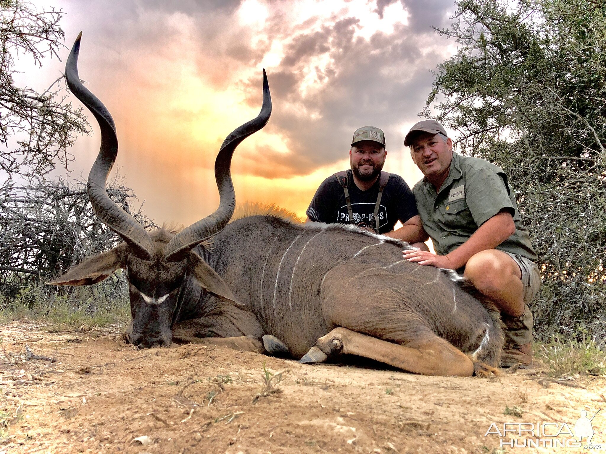 Kudu Hunting Eastern Cape South Africa