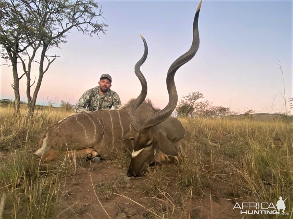 Kudu Hunting Eastern Cape South Africa