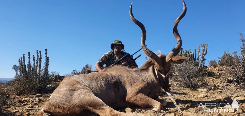 Kudu Hunting Eastern Cape South Africa