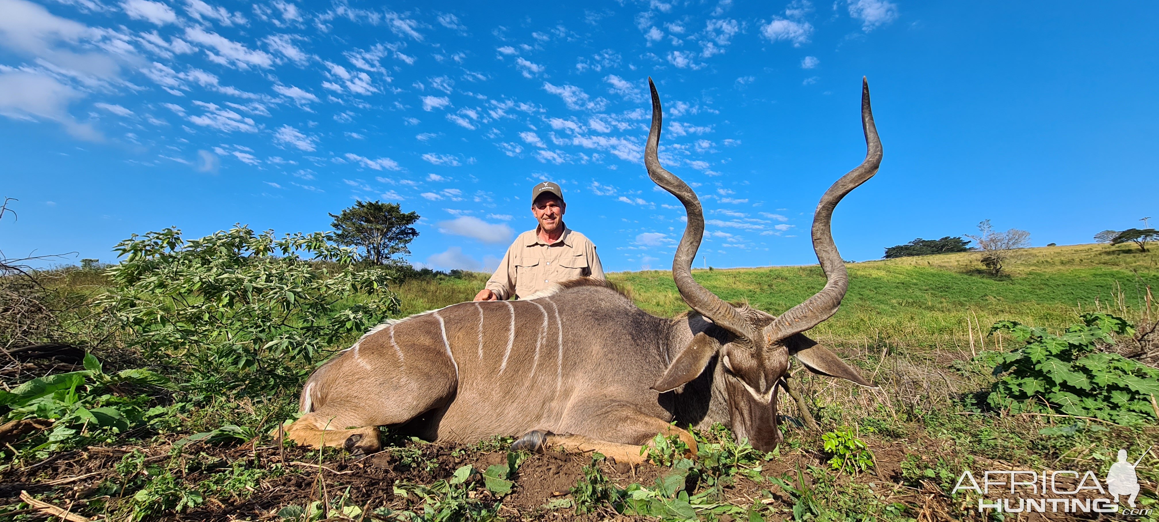 Kudu Hunting Eastern Cape South Africa