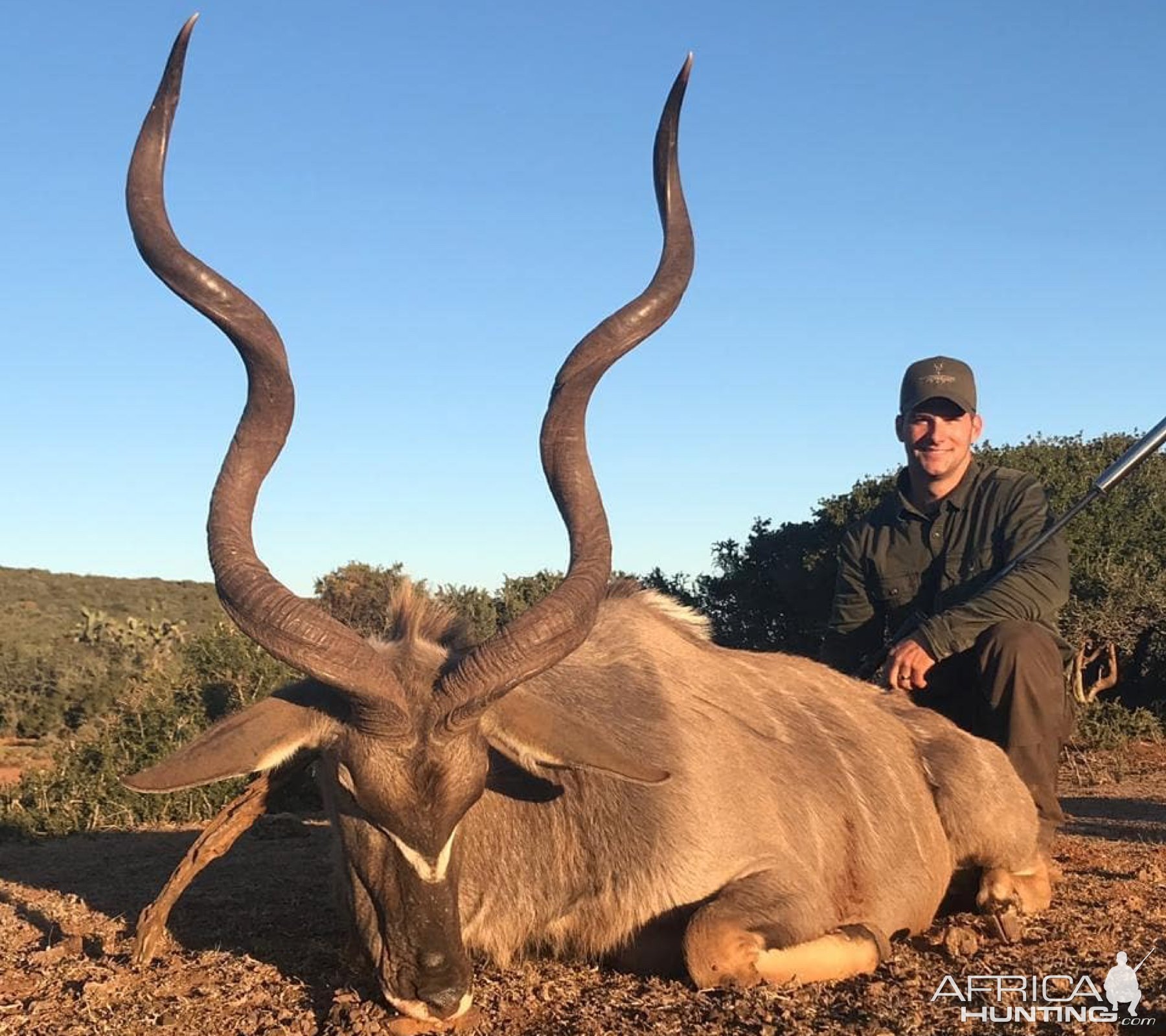 Kudu Hunting Eastern Cape South Africa