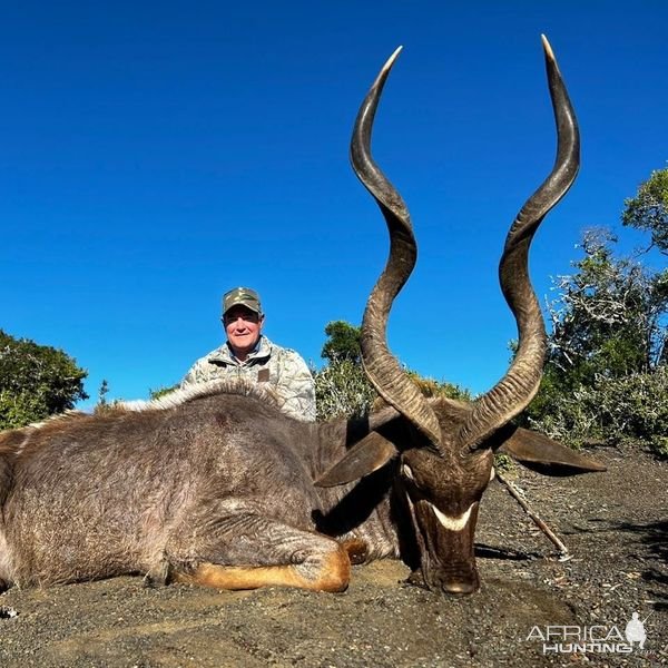 Kudu Hunting Eastern Cape South Africa