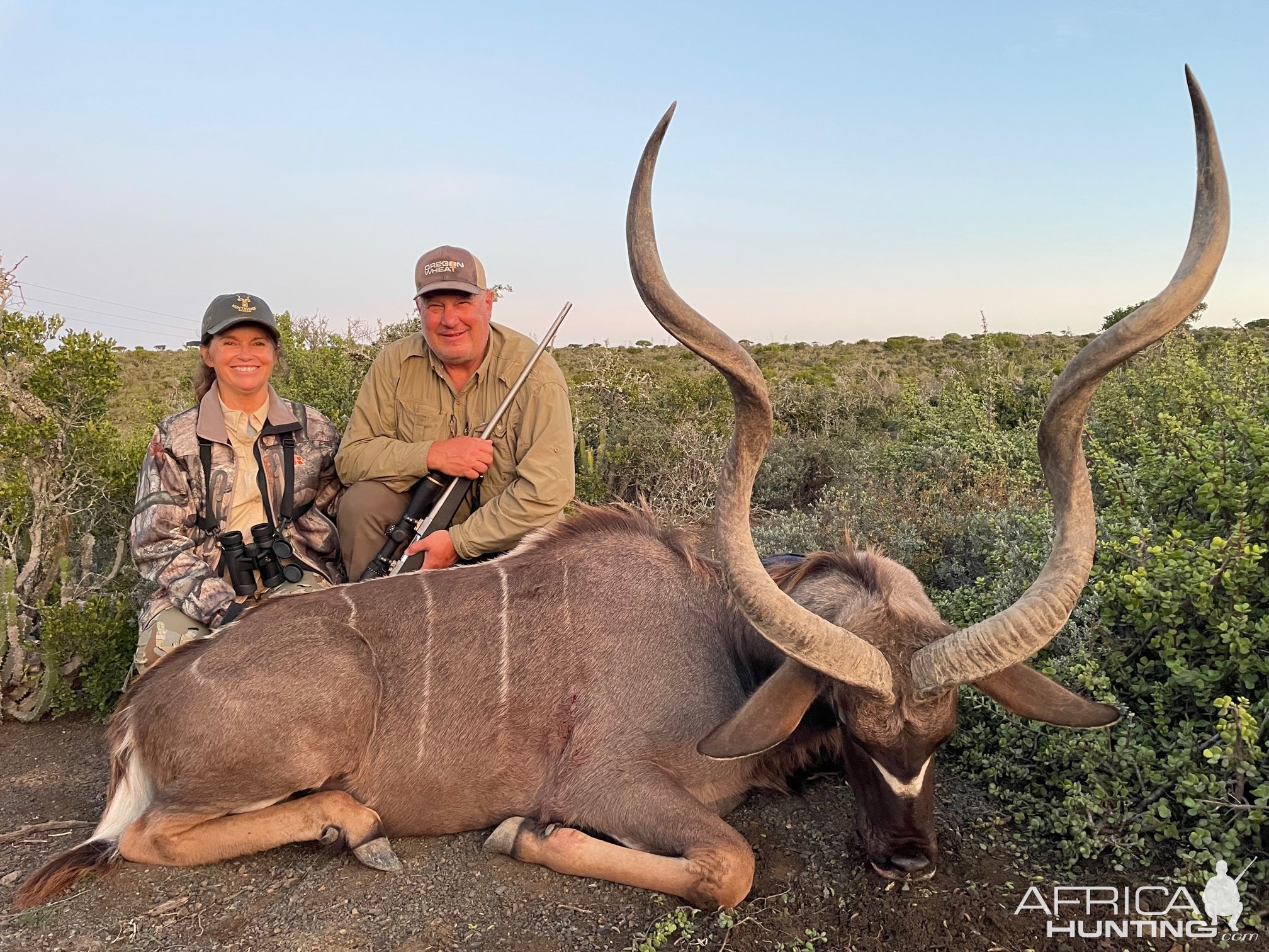 Kudu Hunting Eastern Cape South Africa