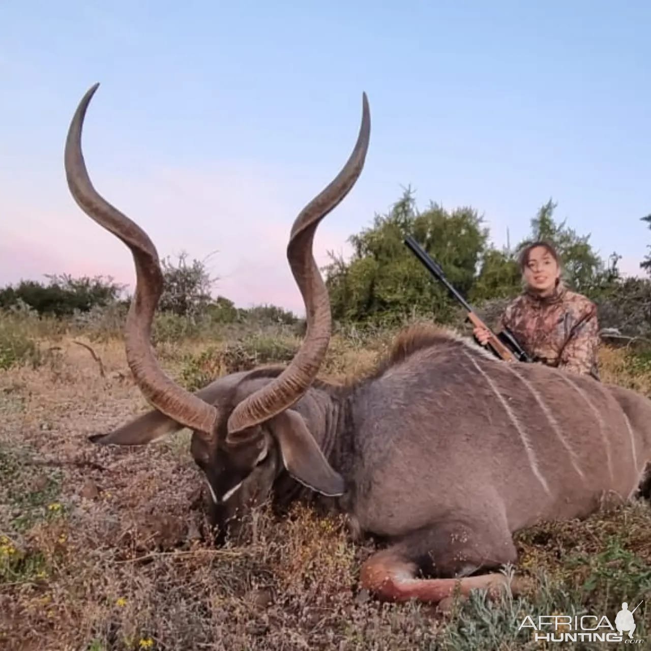 Kudu Hunting Eastern Cape South Africa