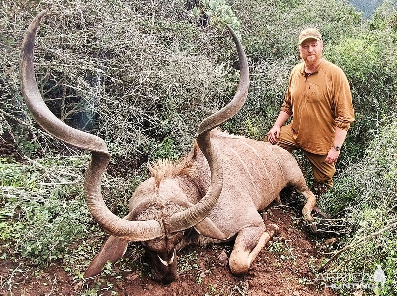 Kudu Hunting Eastern Cape South Africa