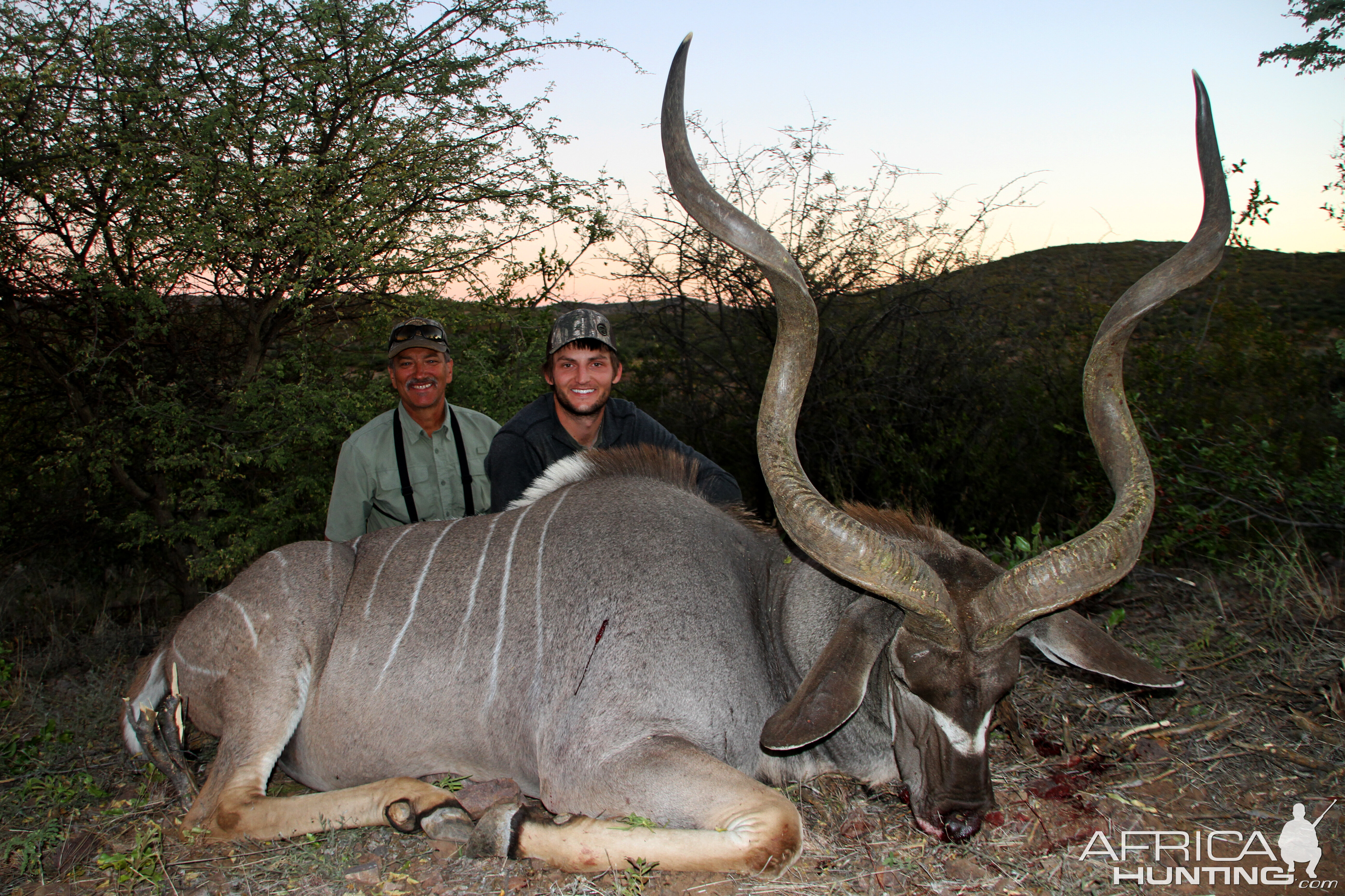 Kudu Hunting in Namibia