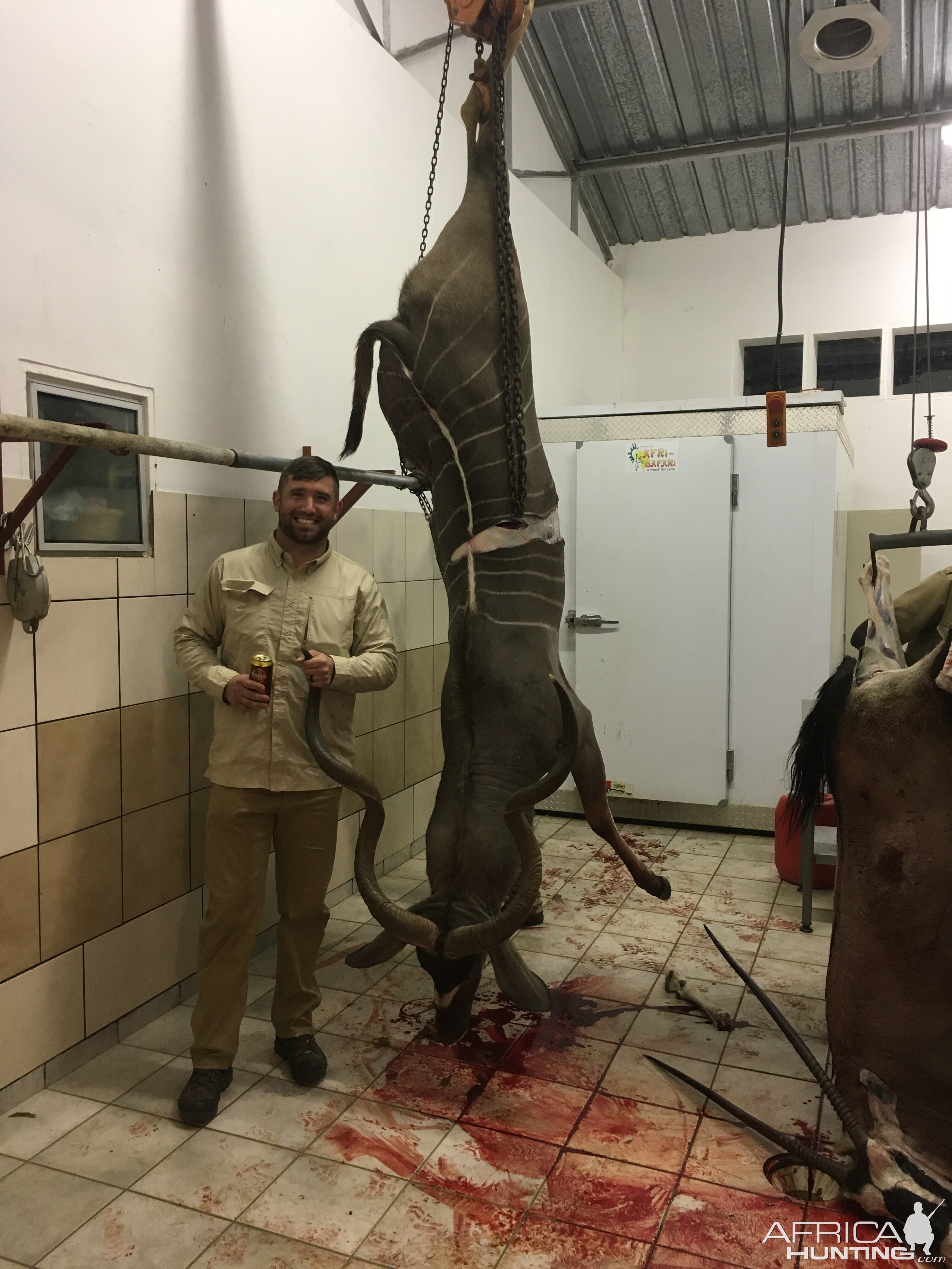 Kudu Hunting in Namibia