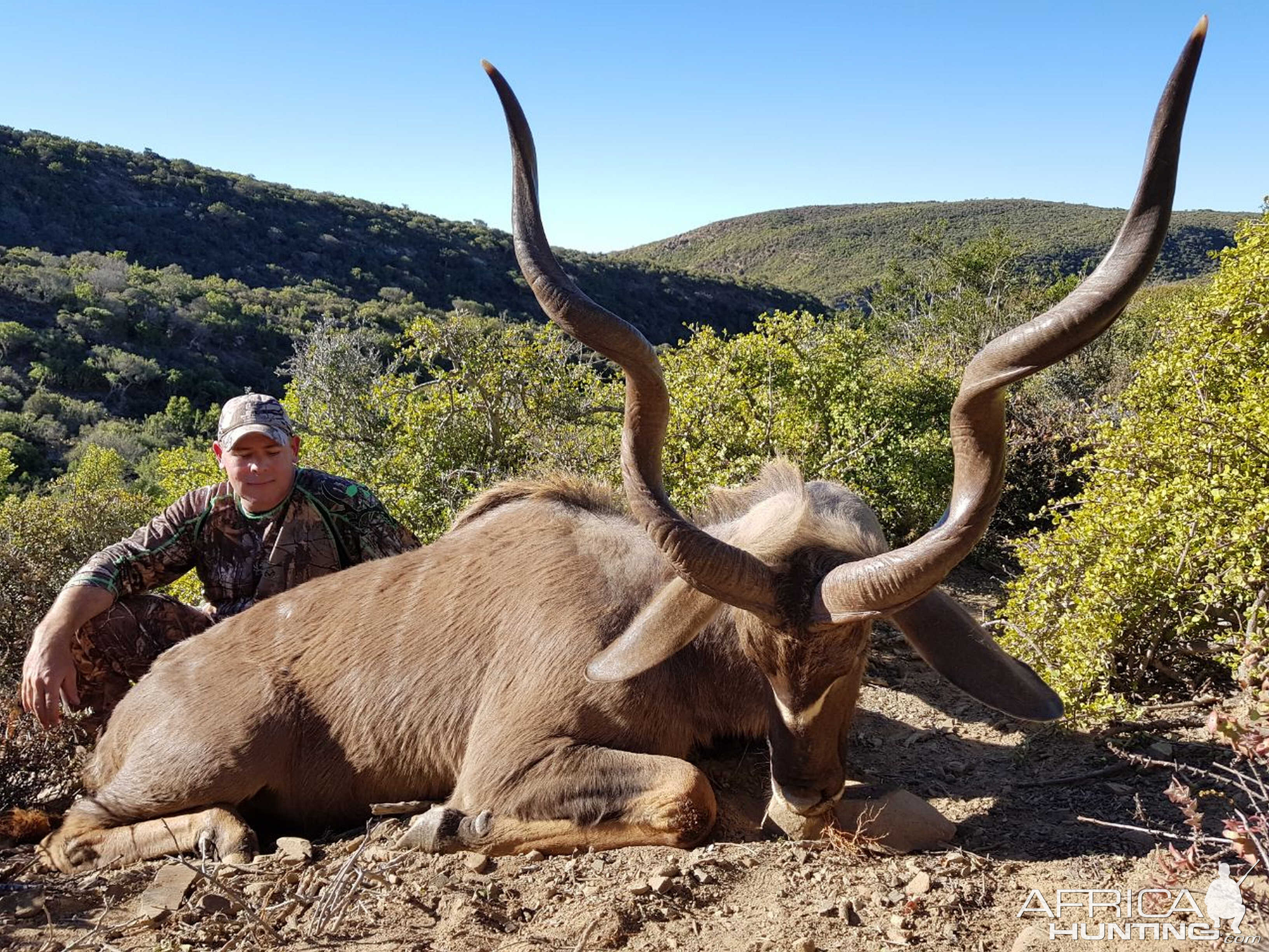 Kudu Hunting in South Africa