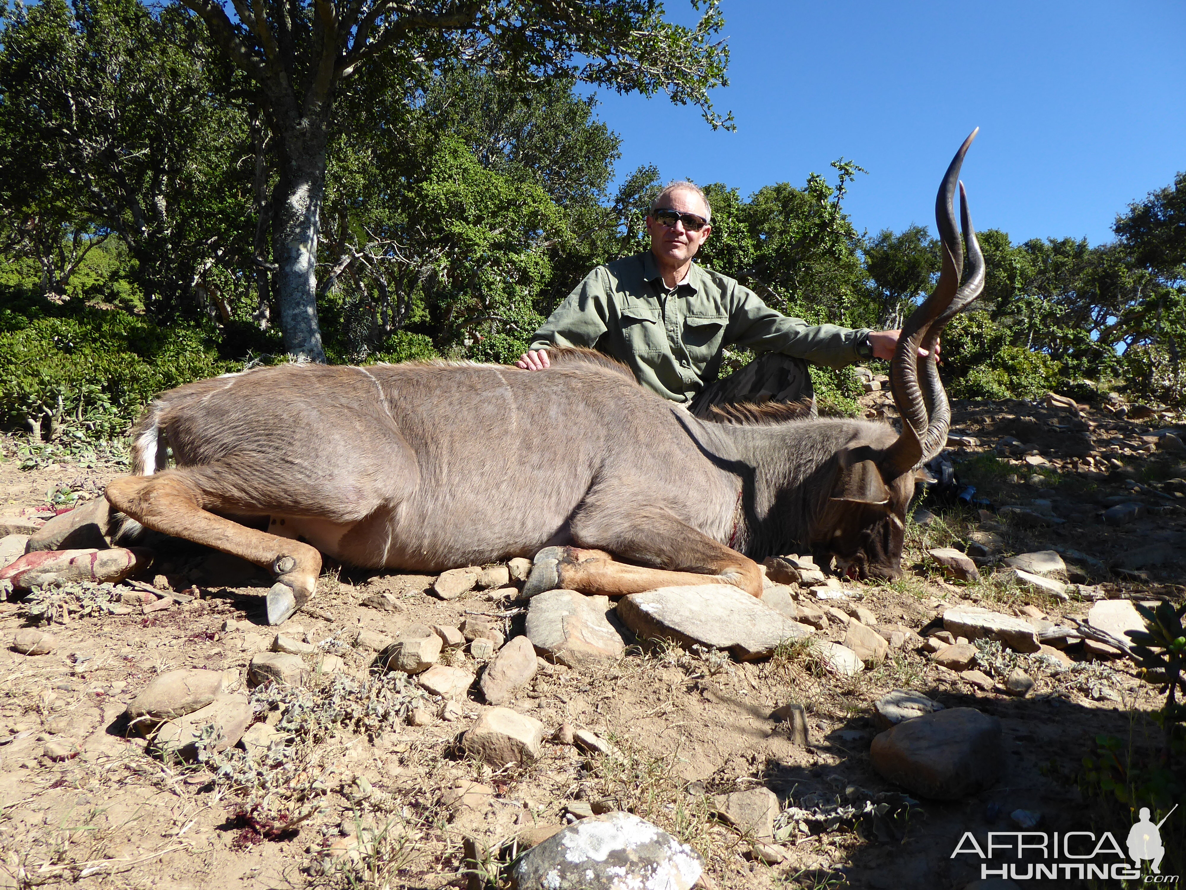 Kudu Hunting in South Africa