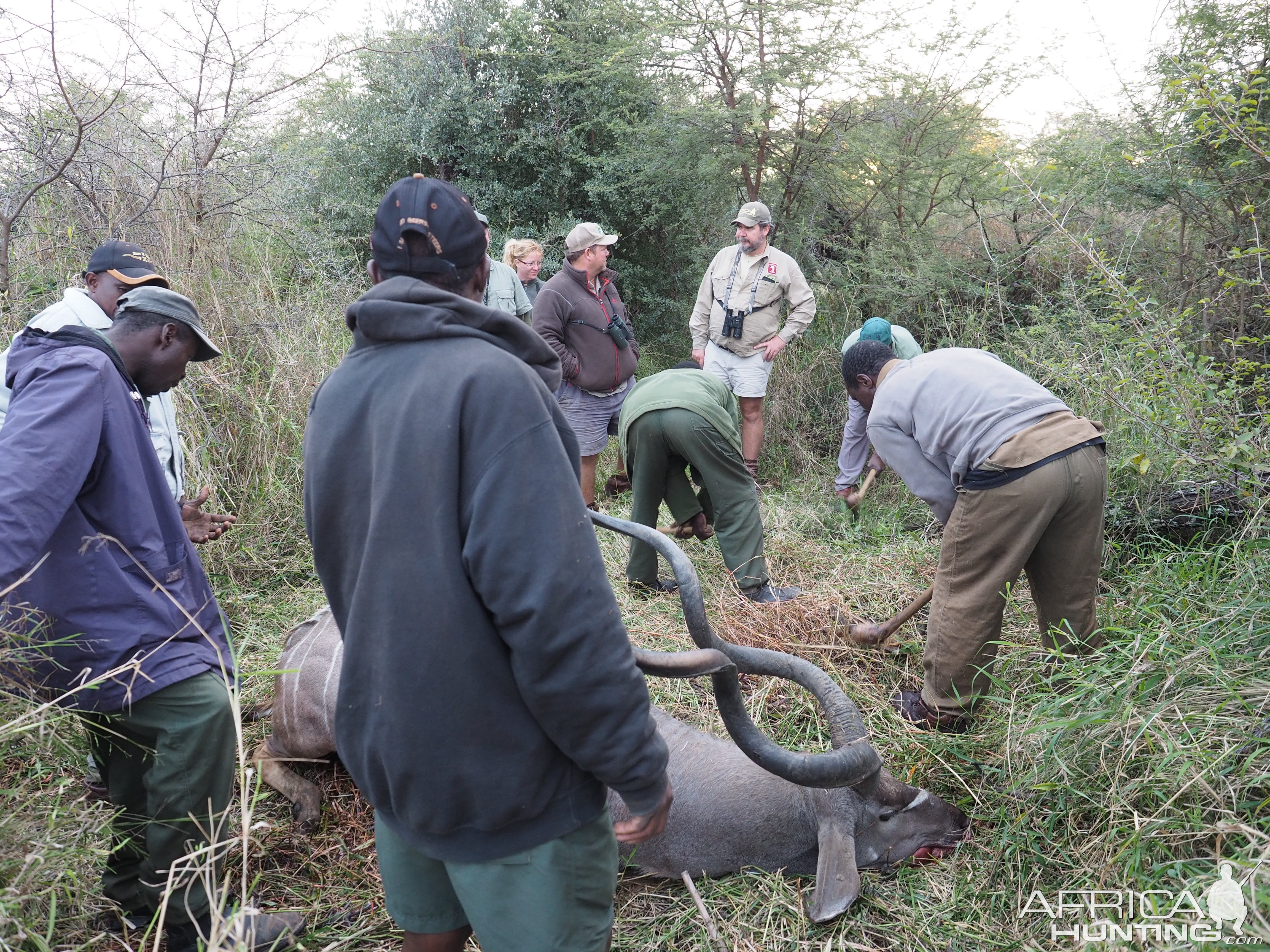 Kudu Hunting in Zimbabwe