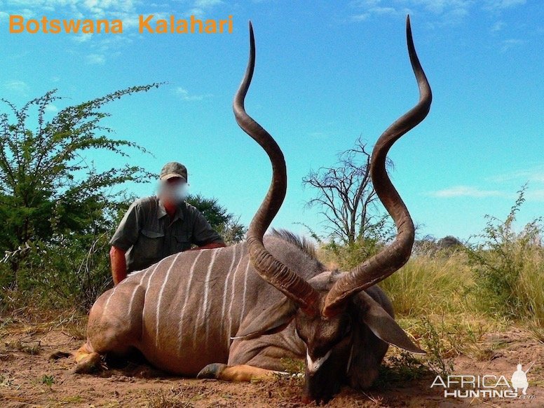 Kudu Hunting Kalahari South Africa