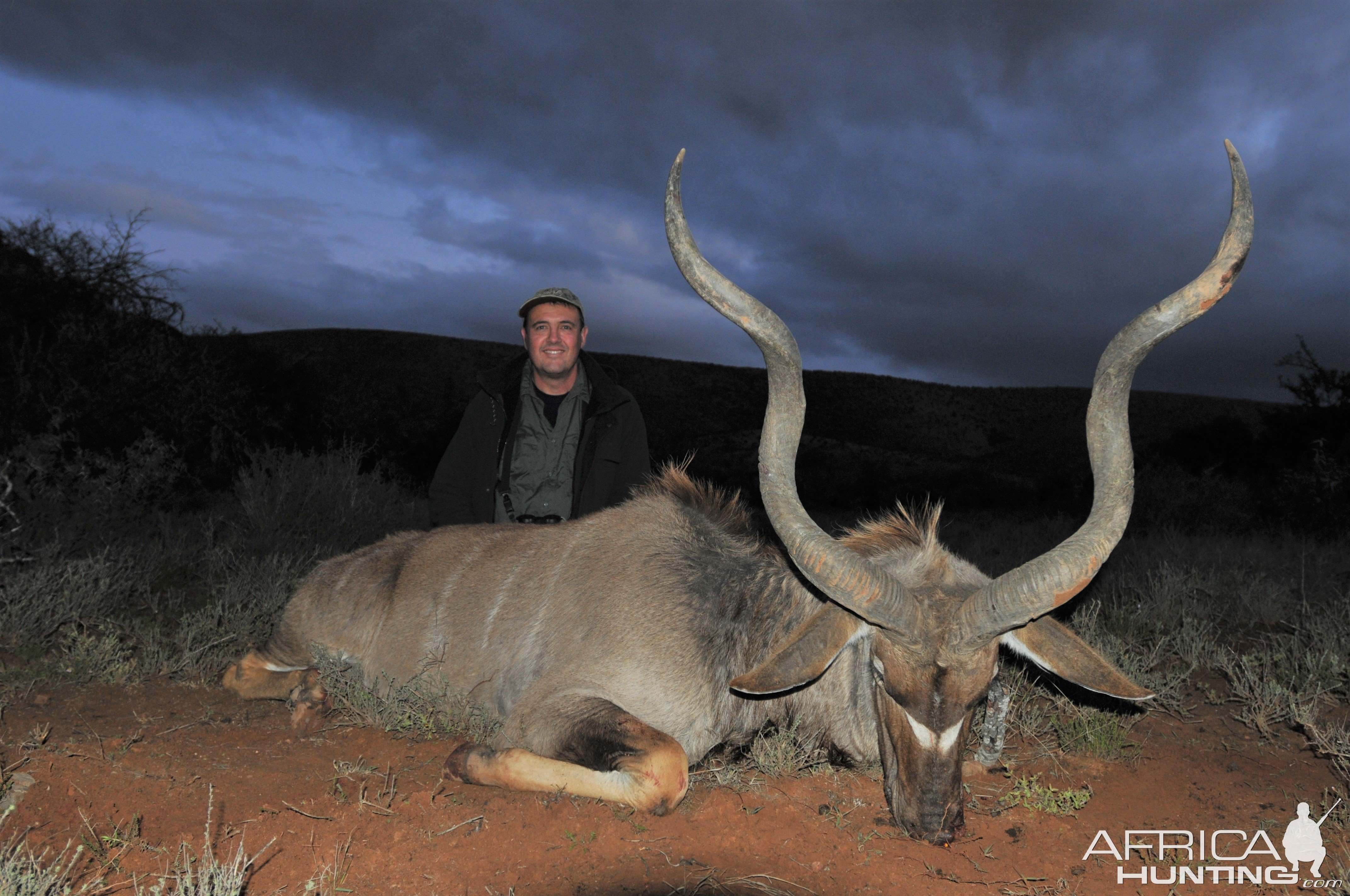 Kudu Hunting Karoo South Africa