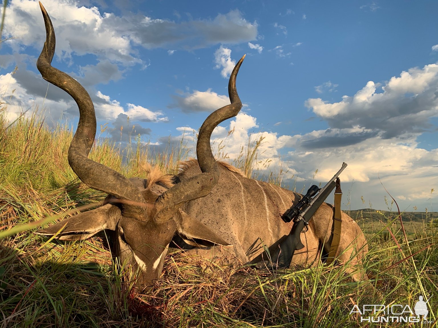 Kudu Hunting Kwa Zulu Natal South Africa