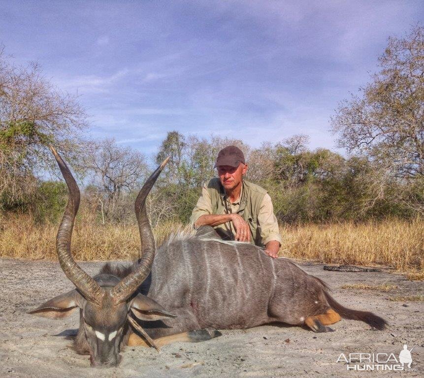 Kudu Hunting Mozambique