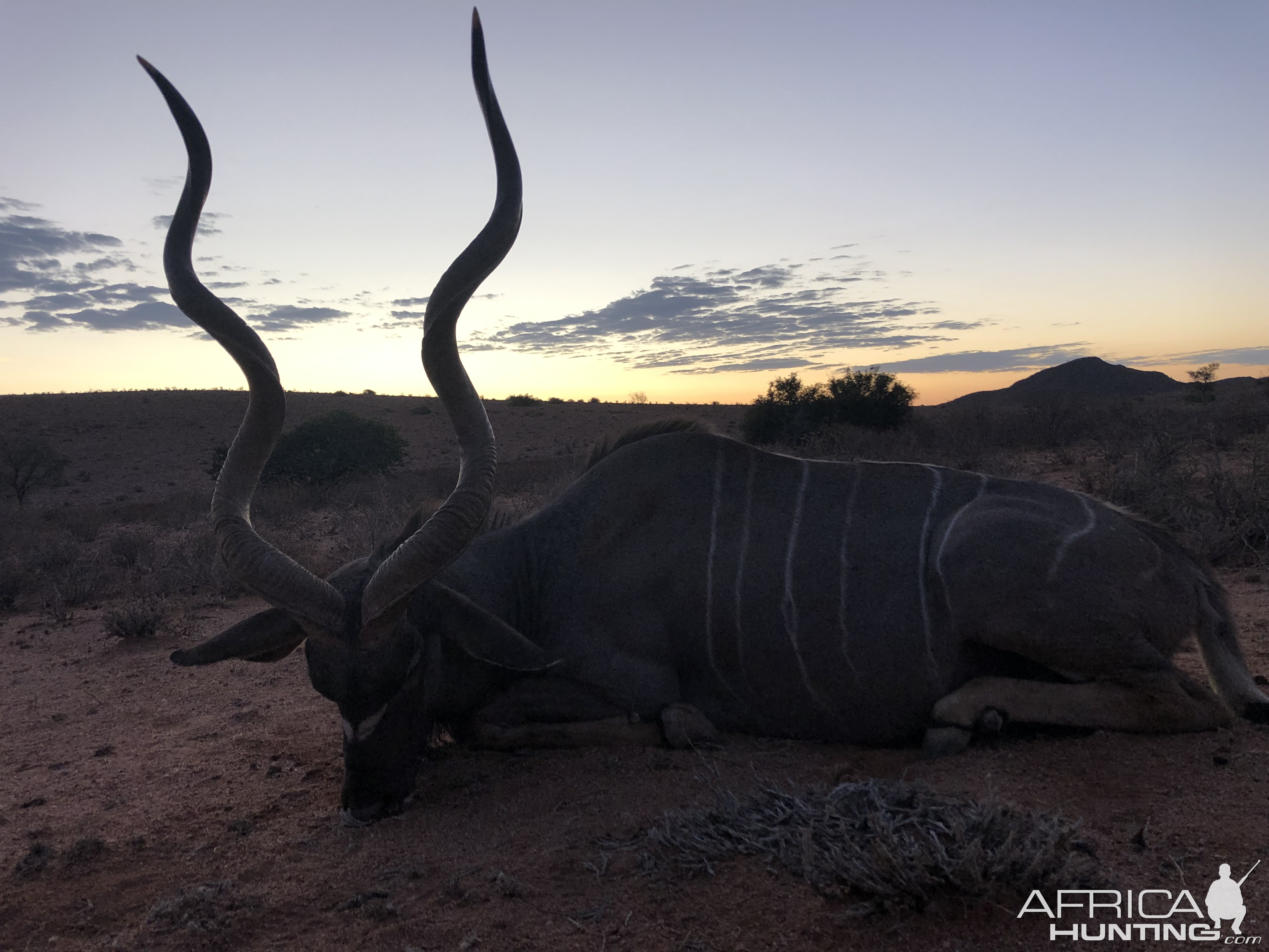 Kudu Hunting Namibia