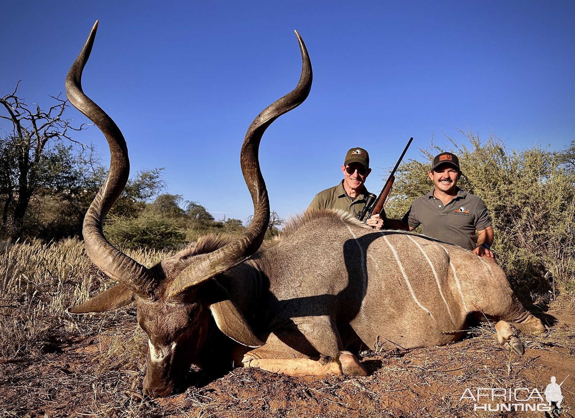 Kudu Hunting Namibia