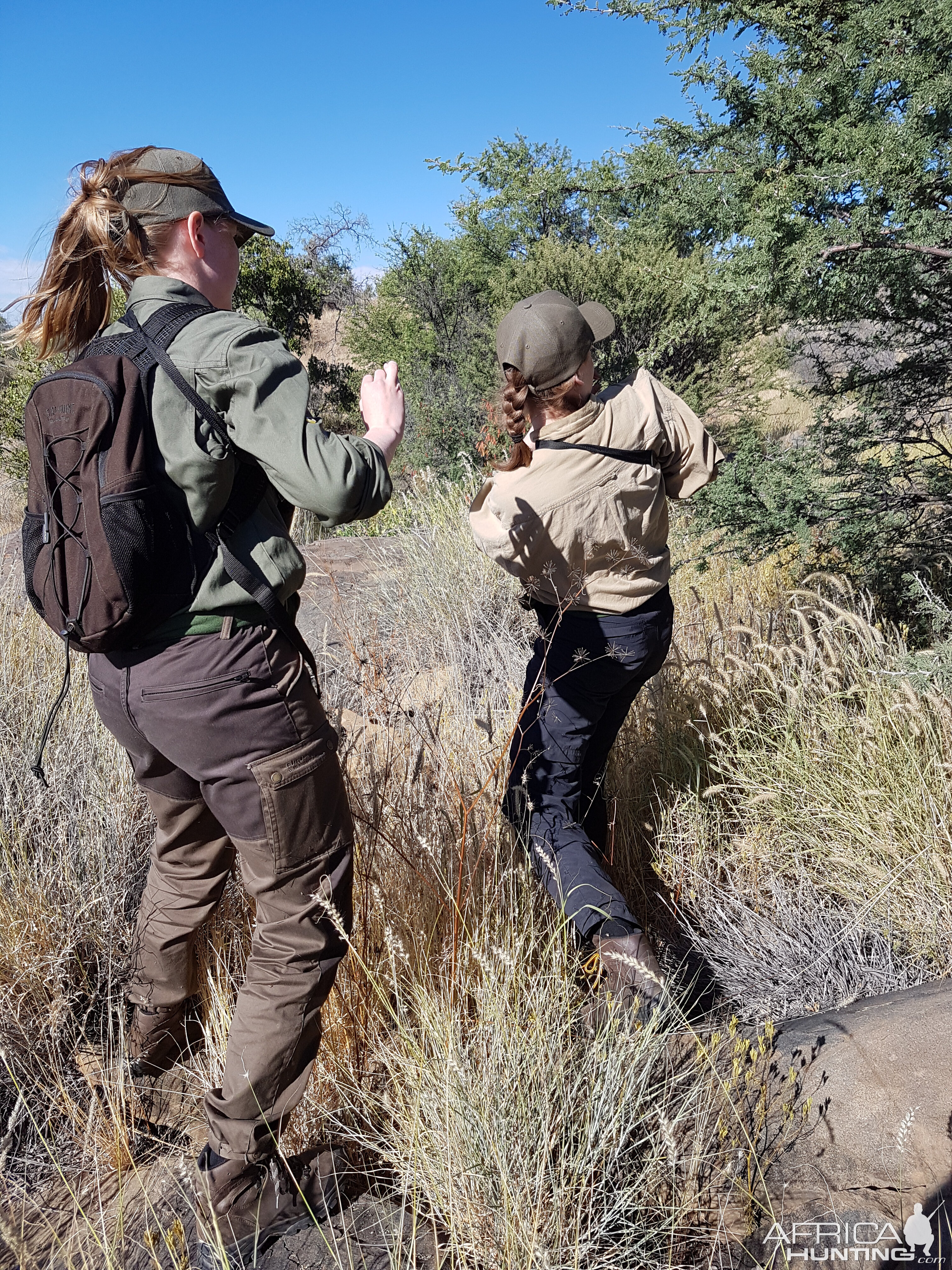 Kudu Hunting Namibia