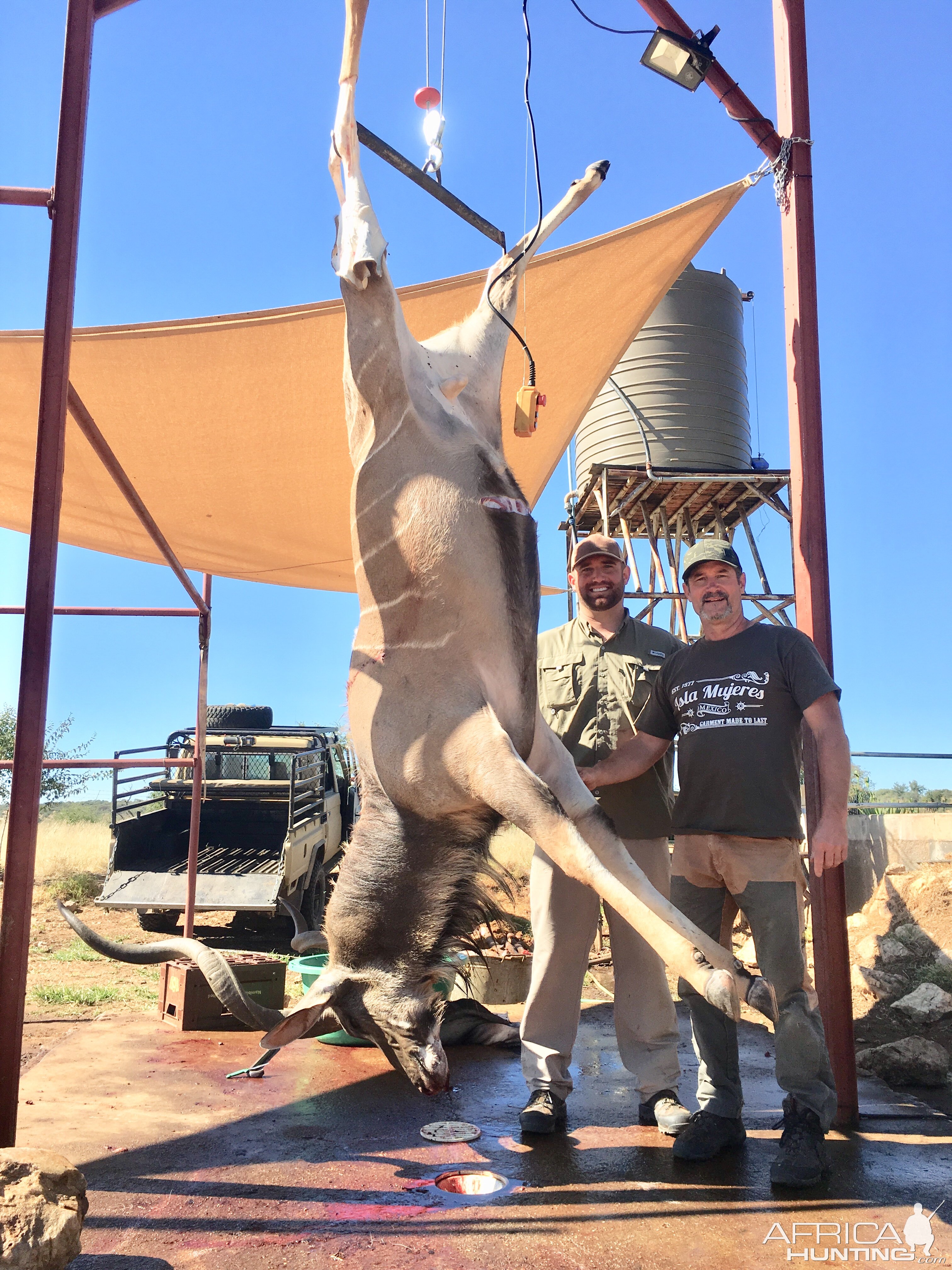 Kudu Hunting Namibia