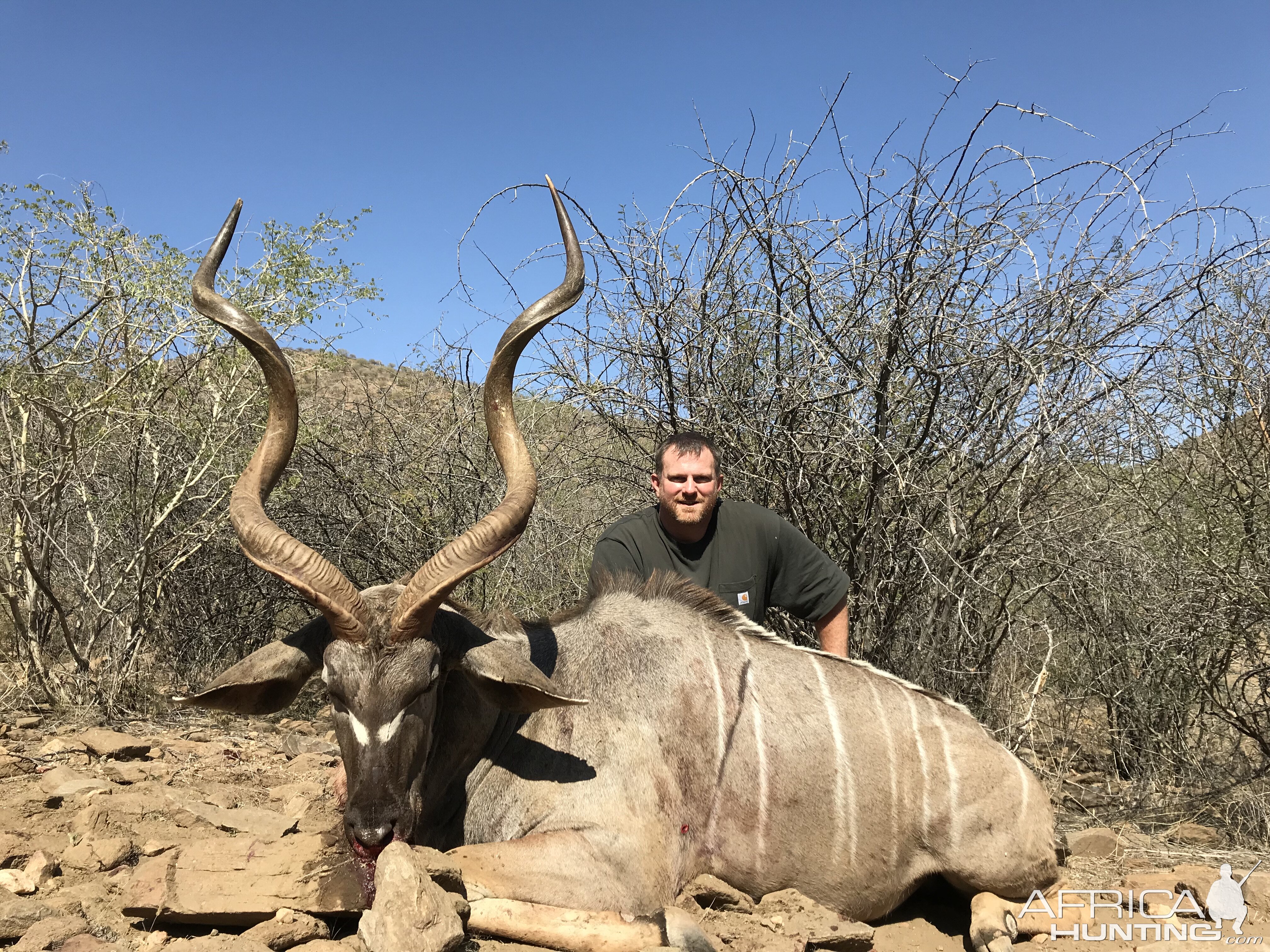 Kudu Hunting Namibia