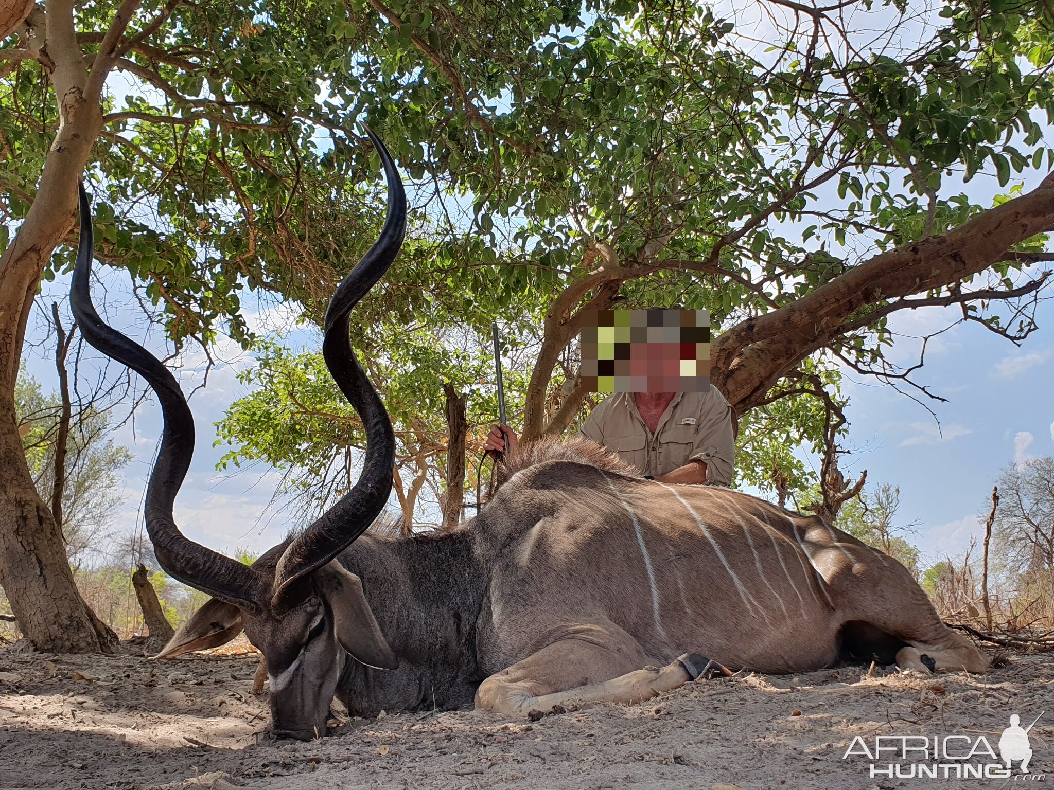 Kudu Hunting Namibia