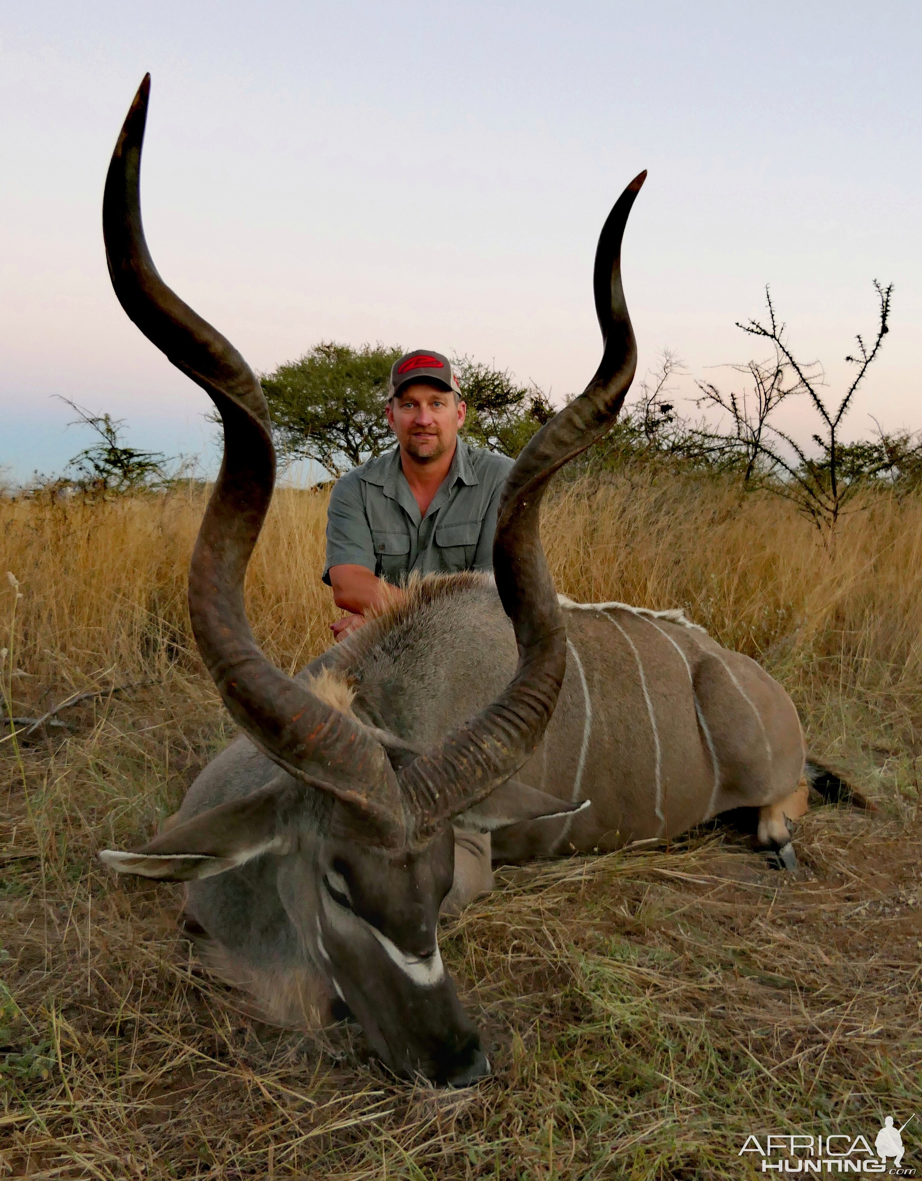 Kudu Hunting South Africa