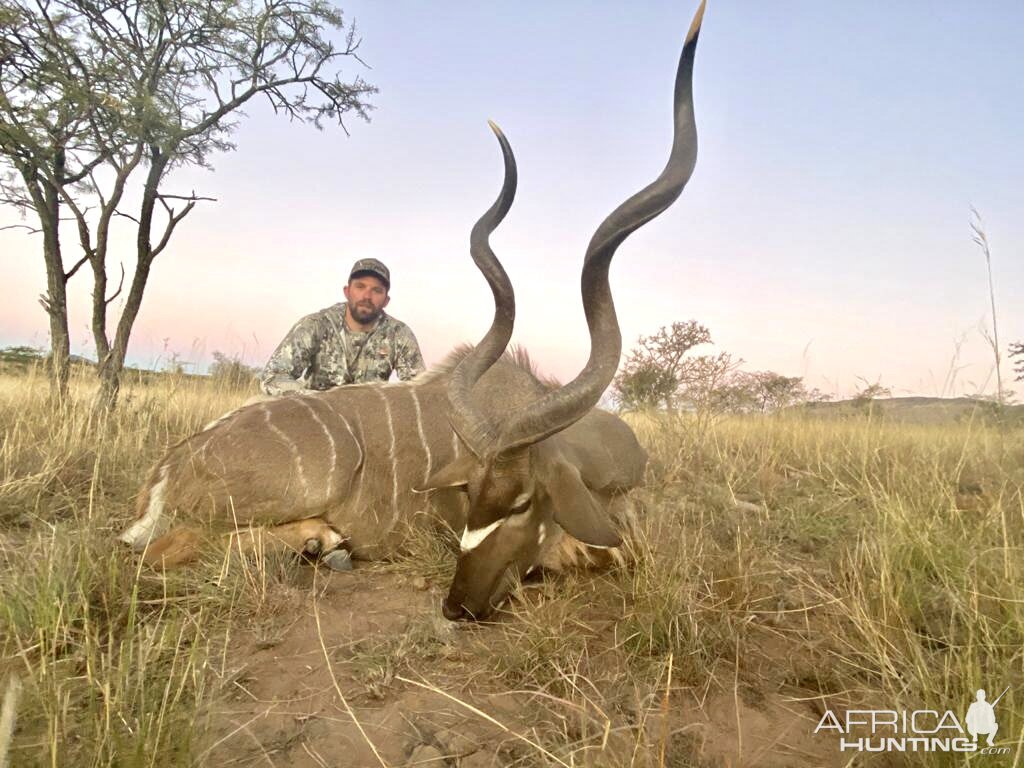 Kudu Hunting South Africa