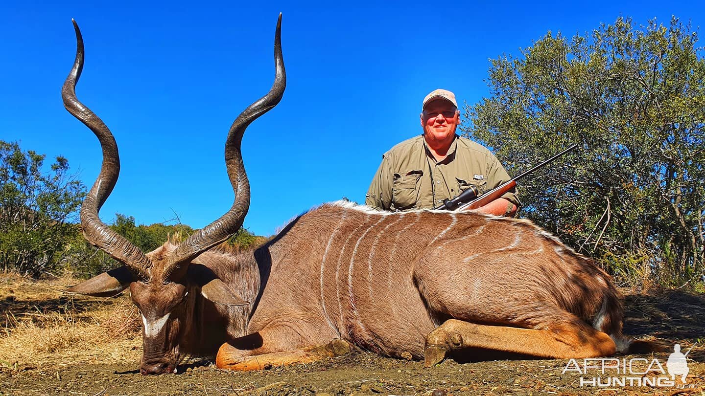 Kudu Hunting South Africa