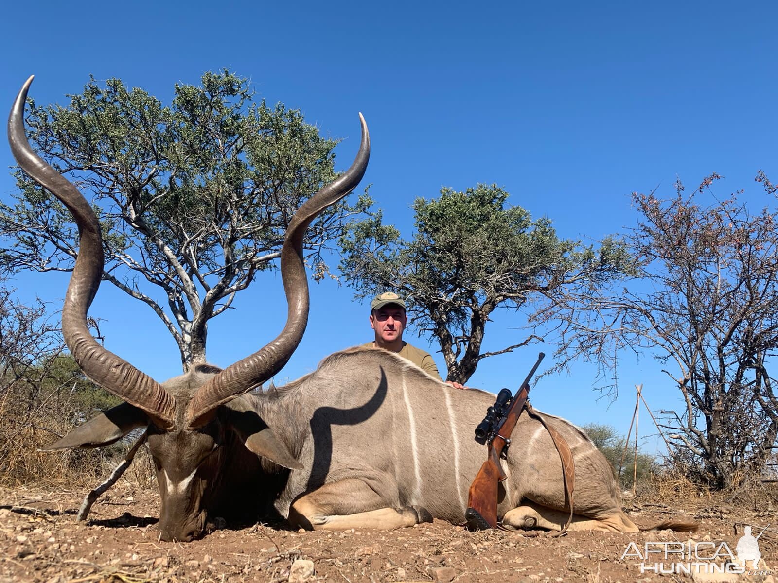 Kudu Hunting South Africa