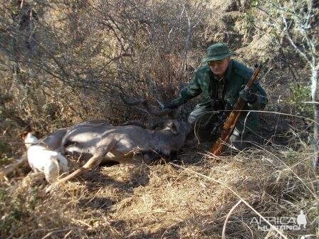 Kudu Hunting South Africa