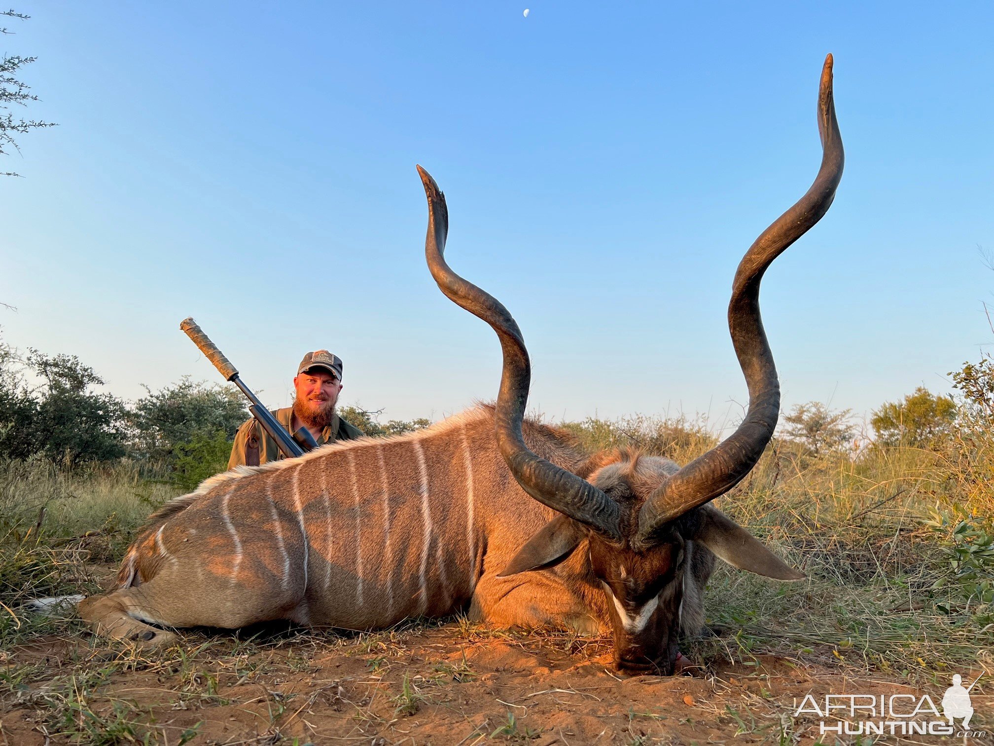 Kudu Hunting South Africa