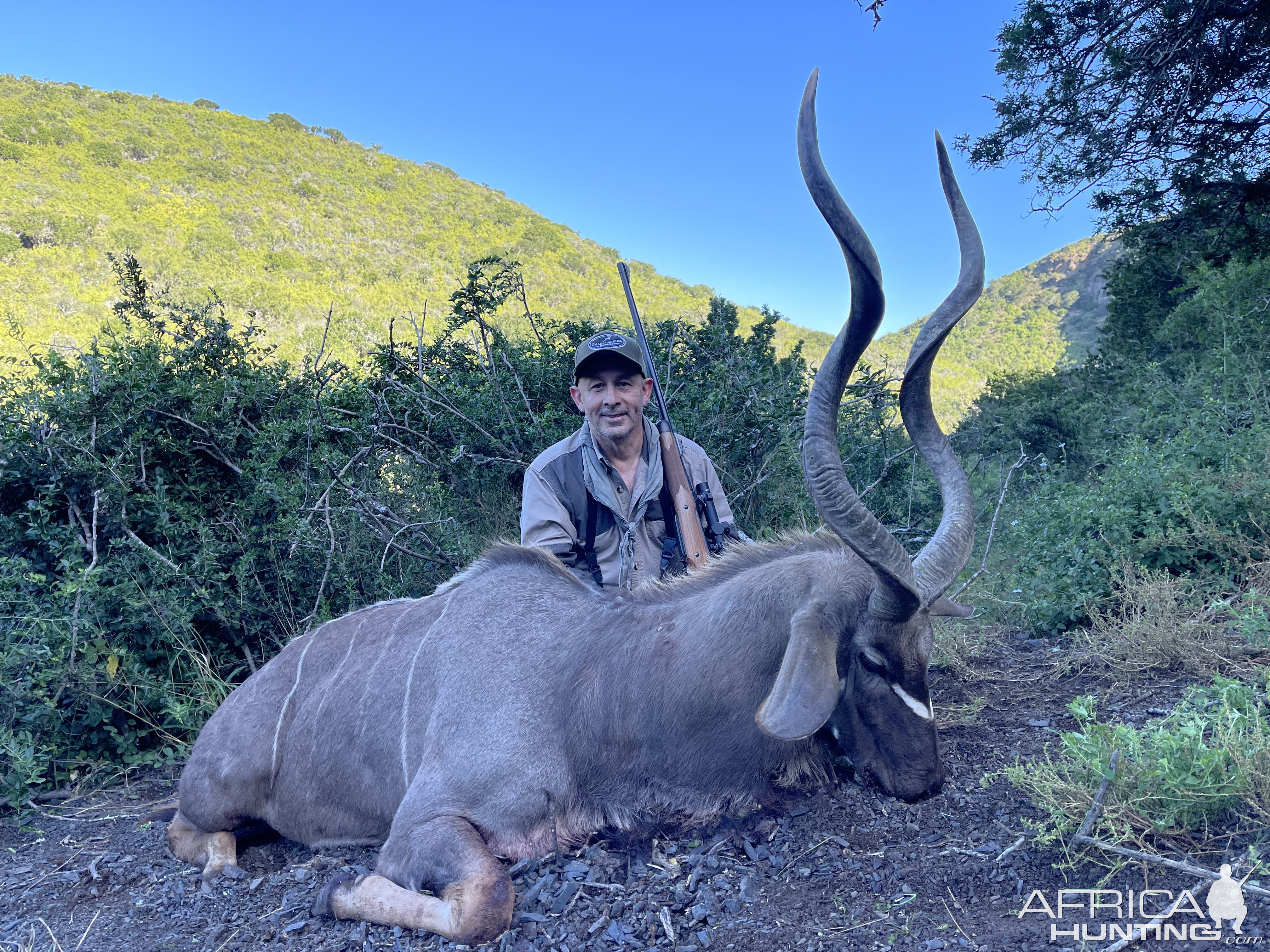 Kudu Hunting South Africa