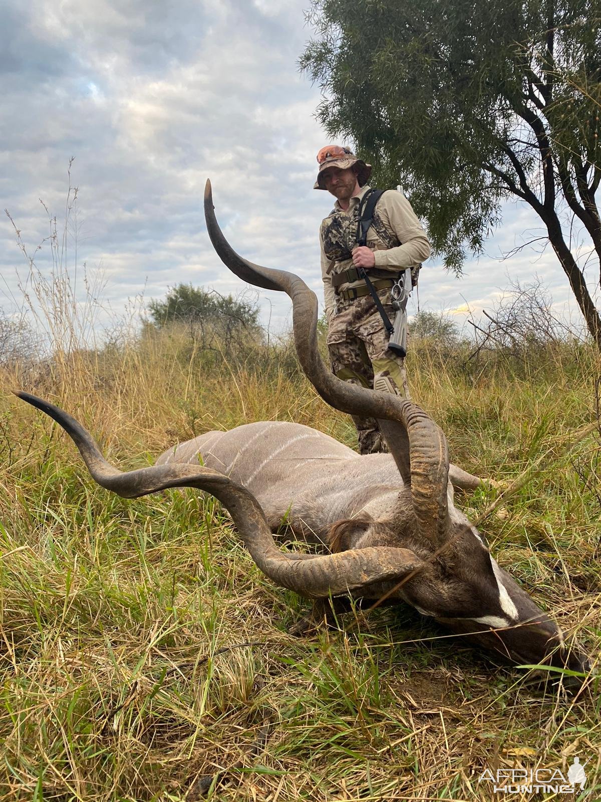 Kudu Hunting South Africa