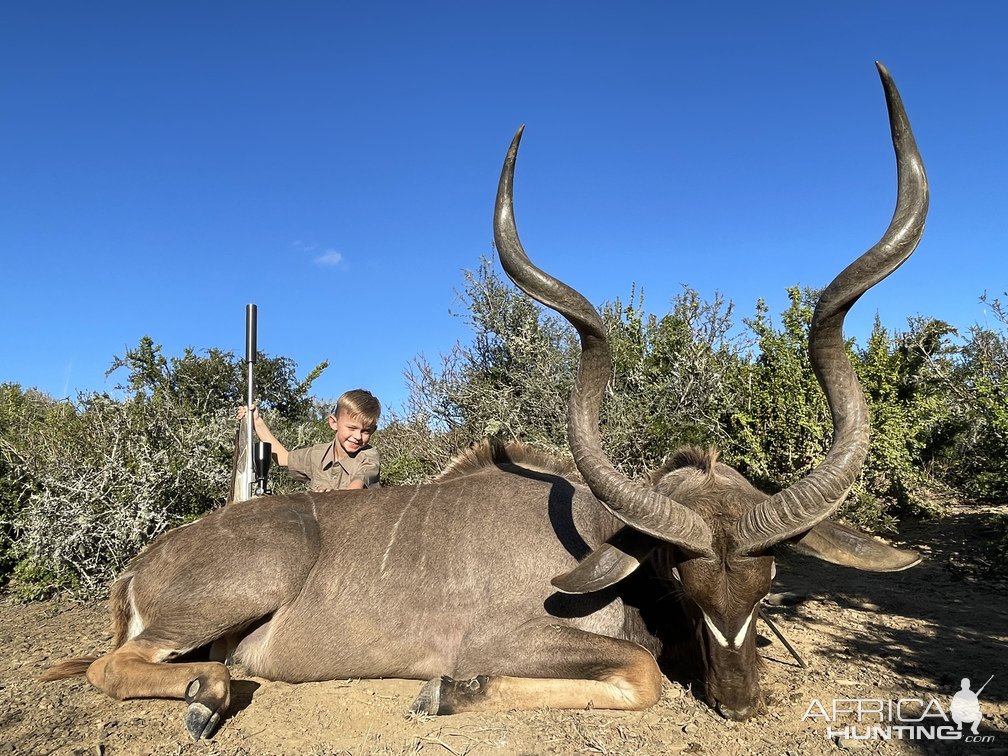 Kudu Hunting South Africa