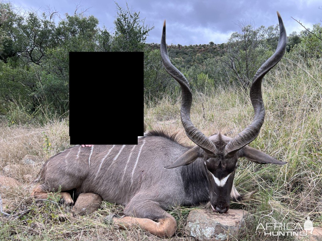 Kudu Hunting South Africa