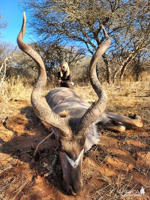 Kudu Hunting South Africa