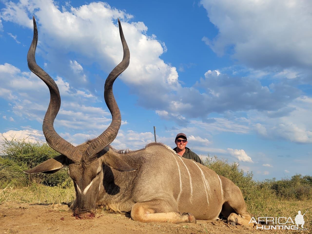 Kudu Hunting South Africa