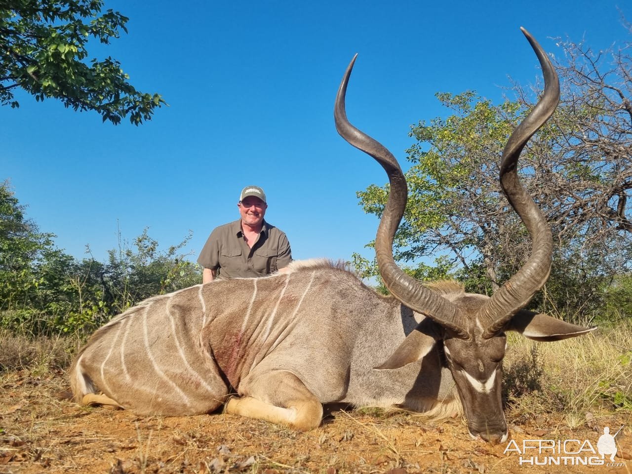 Kudu Hunting South Africa