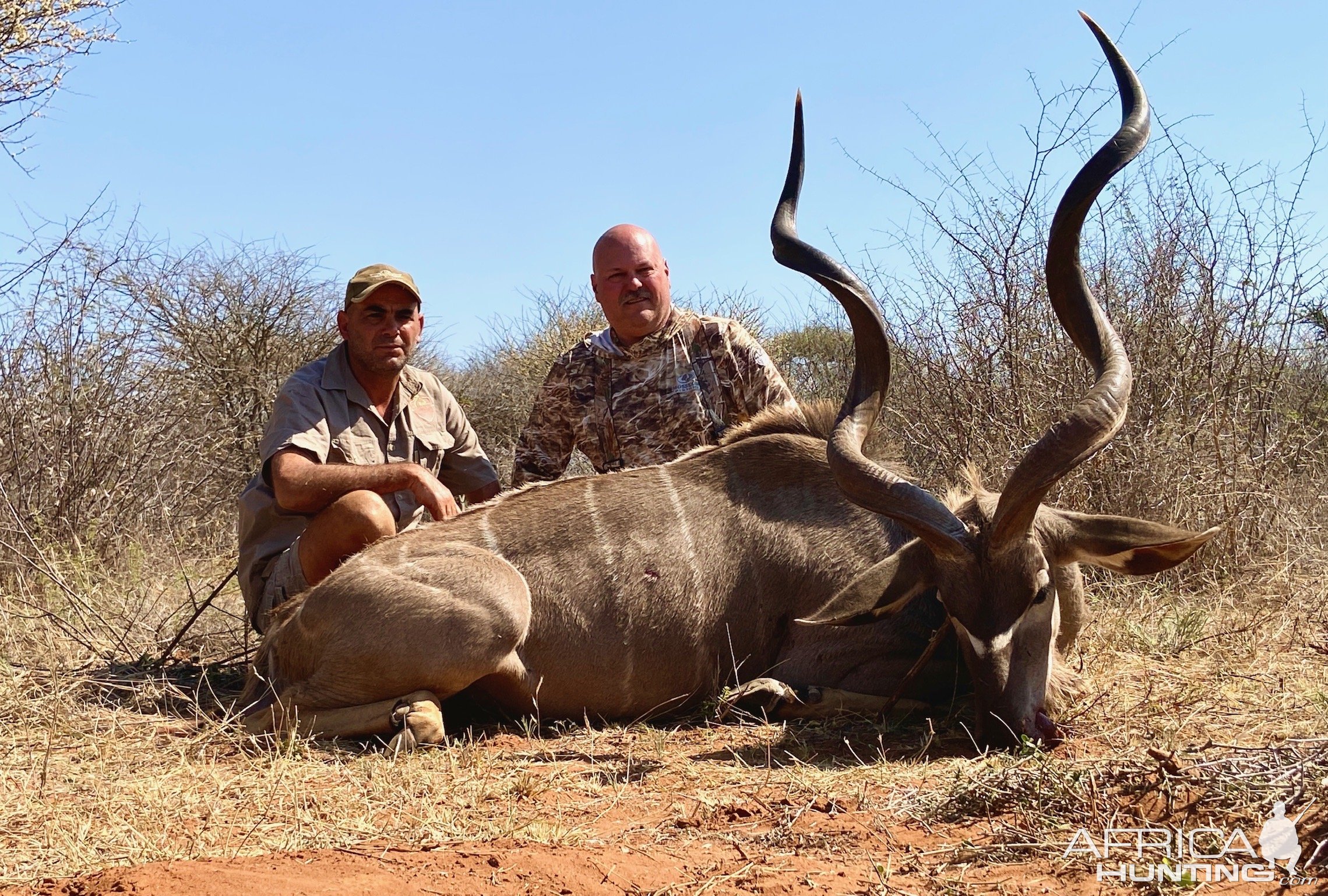 Kudu Hunting South Africa