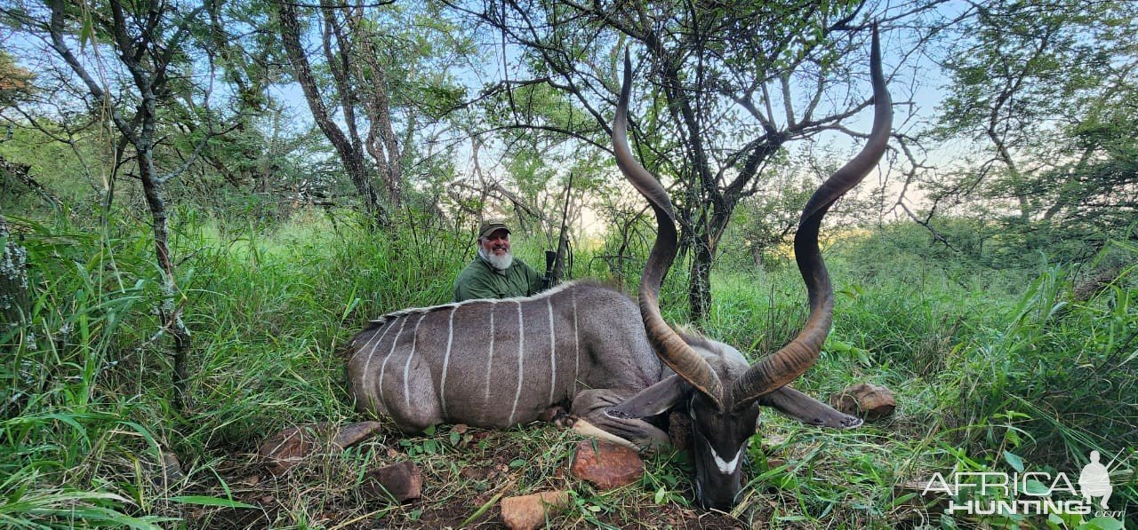 Kudu Hunting South Africa