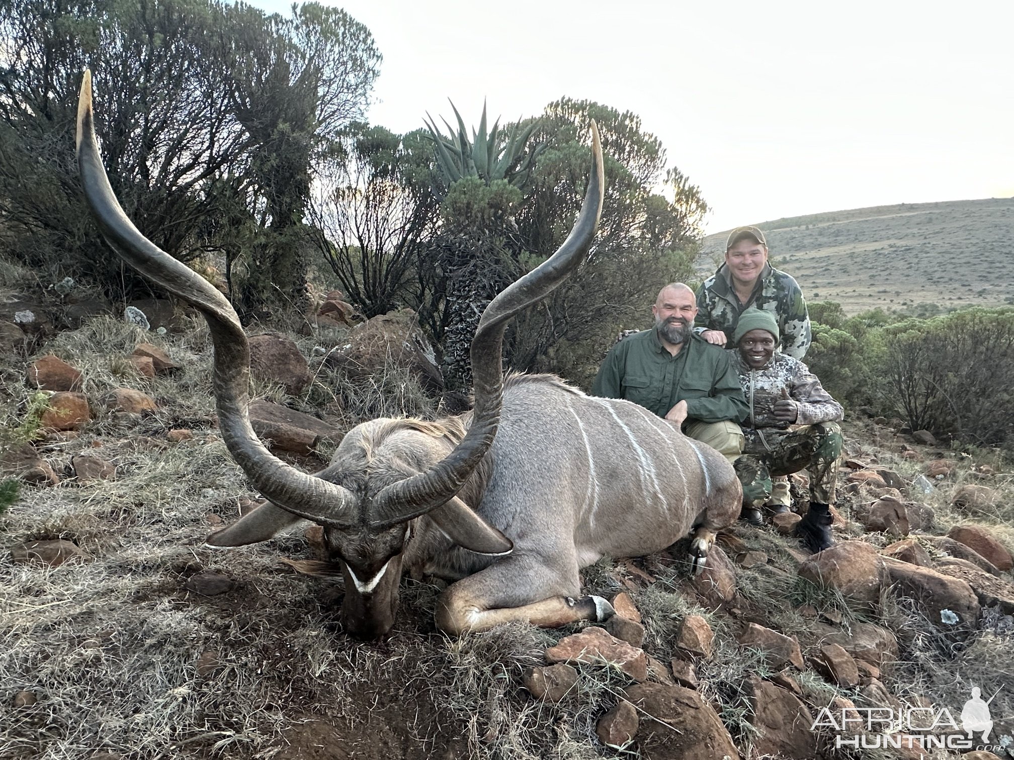 Kudu Hunting South Africa