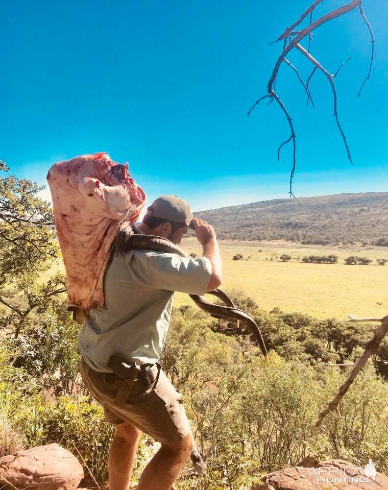 Kudu Hunting South Africa