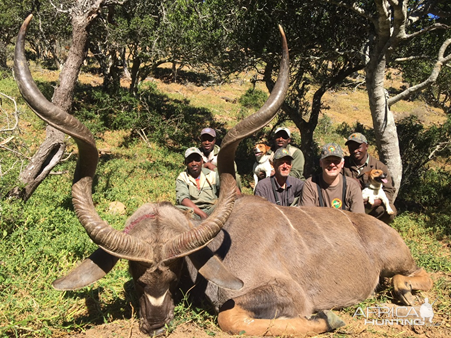 Kudu Hunting South Africa