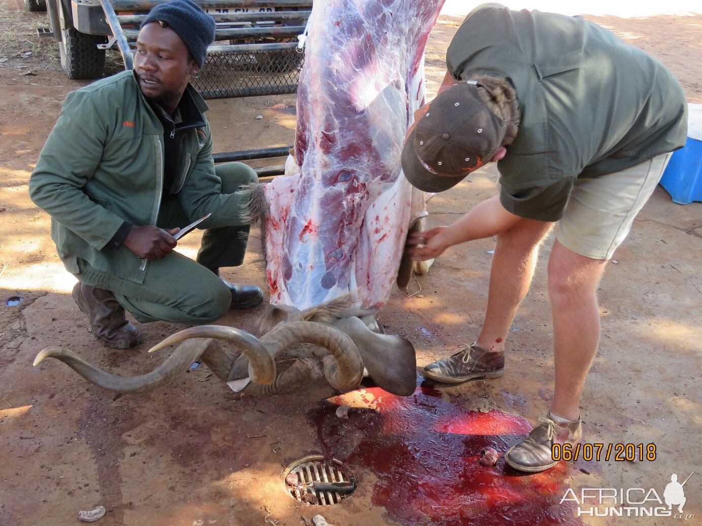 Kudu Hunting South Africa