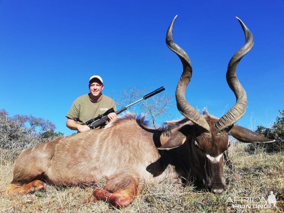 Kudu Hunting South Africa