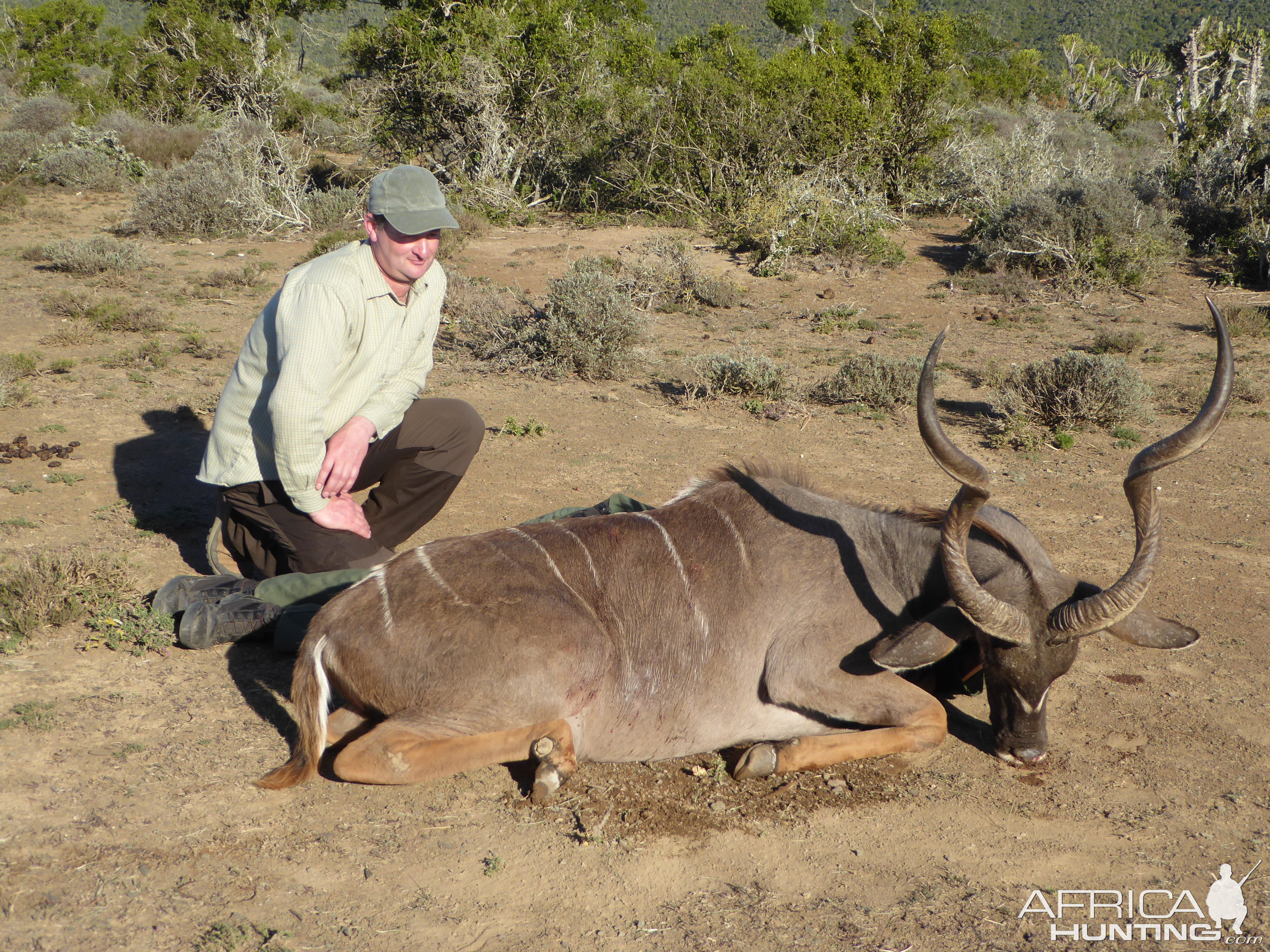 Kudu Hunting South Africa